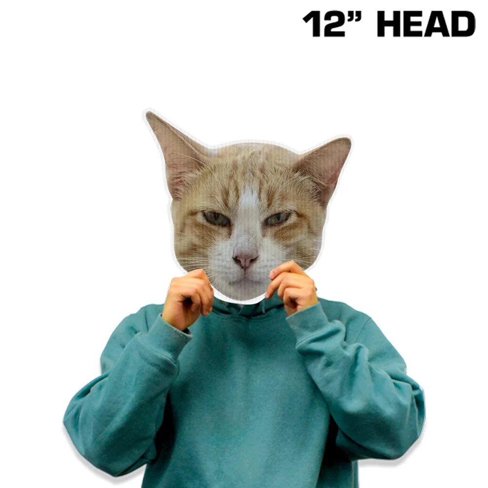 Person wearing a custom 12 inch ginger cat head cutout mask and a teal hoodie