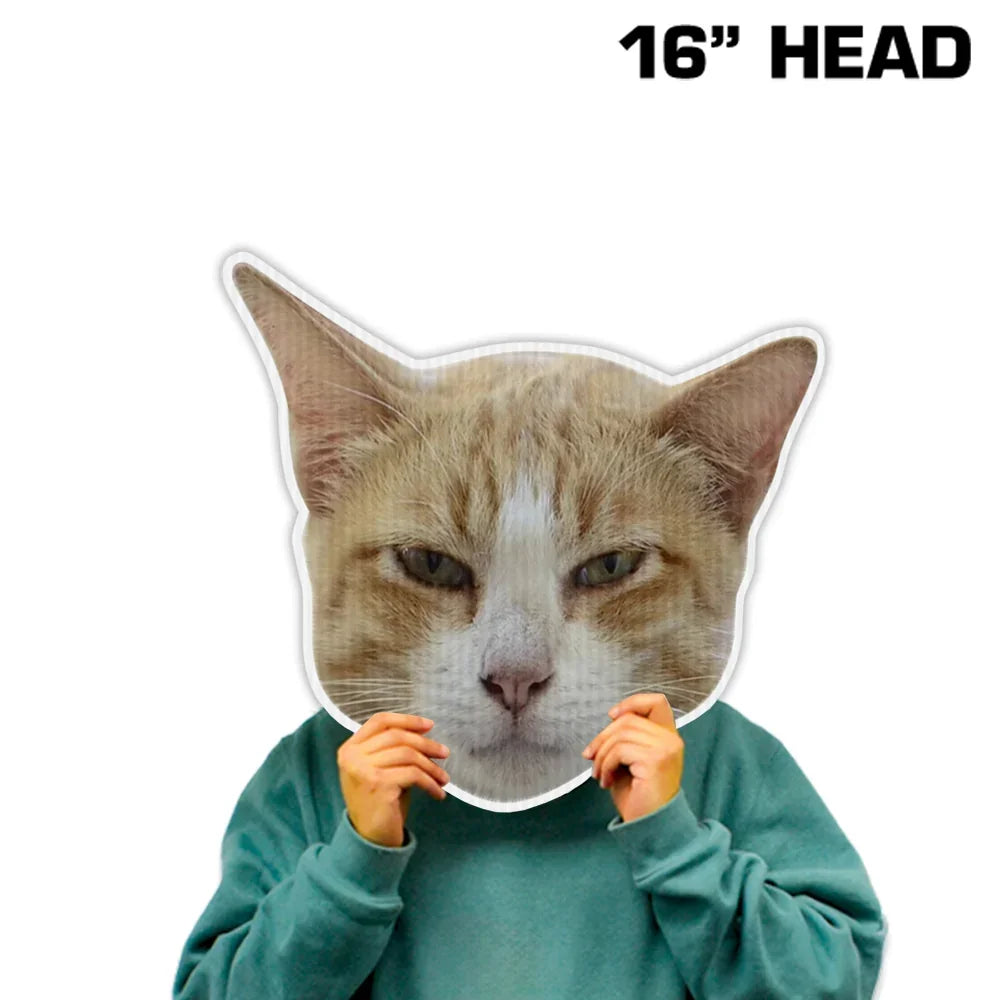 Person wearing a large 16-inch custom ginger cat head cutout mask.