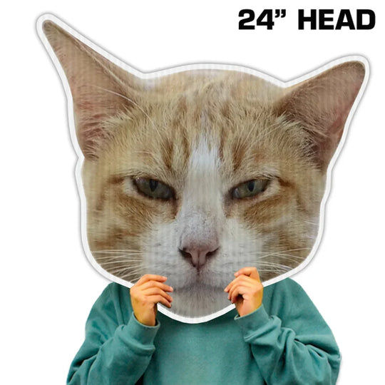 Person wearing a large 24 inch custom ginger cat head cutout mask