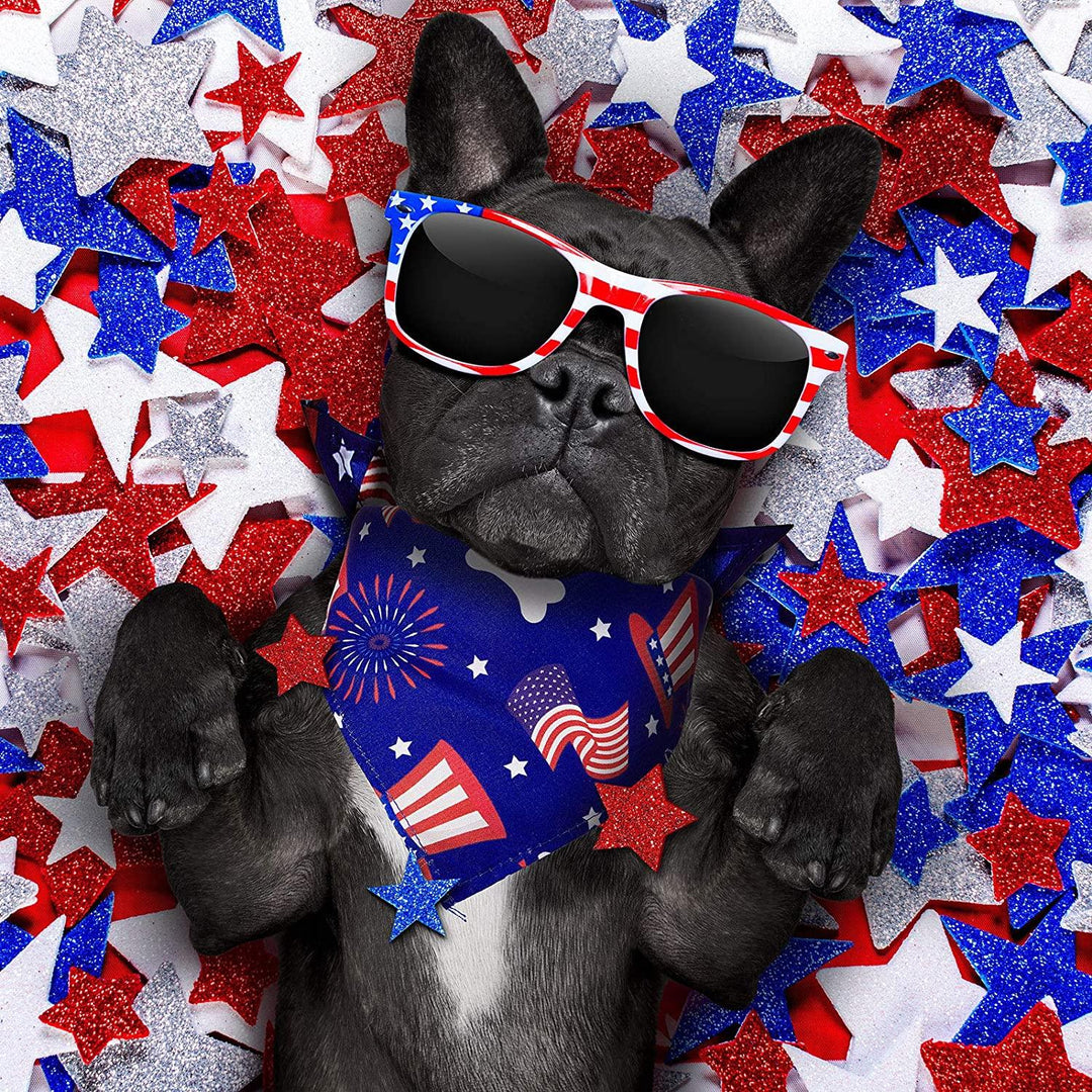 Black French Bulldog wearing USA flag sunglasses and a patriotic bandana among red, white, and blue stars.
