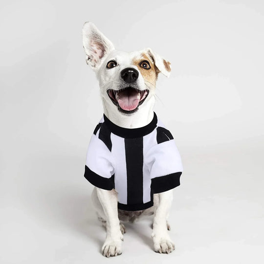 White dog wearing a black and white striped custom apparel jersey