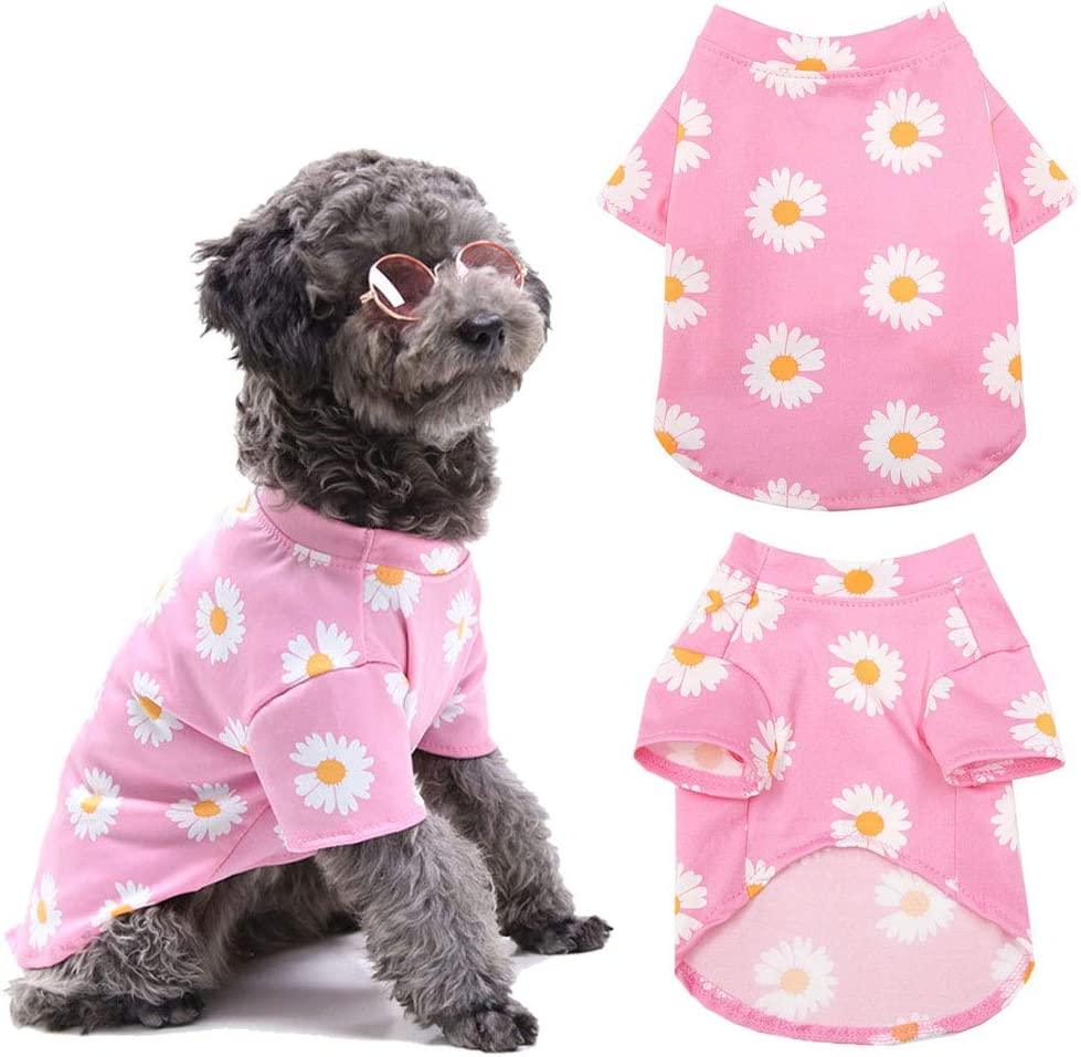Grey poodle wearing a pink daisy print dog t-shirt and sunglasses